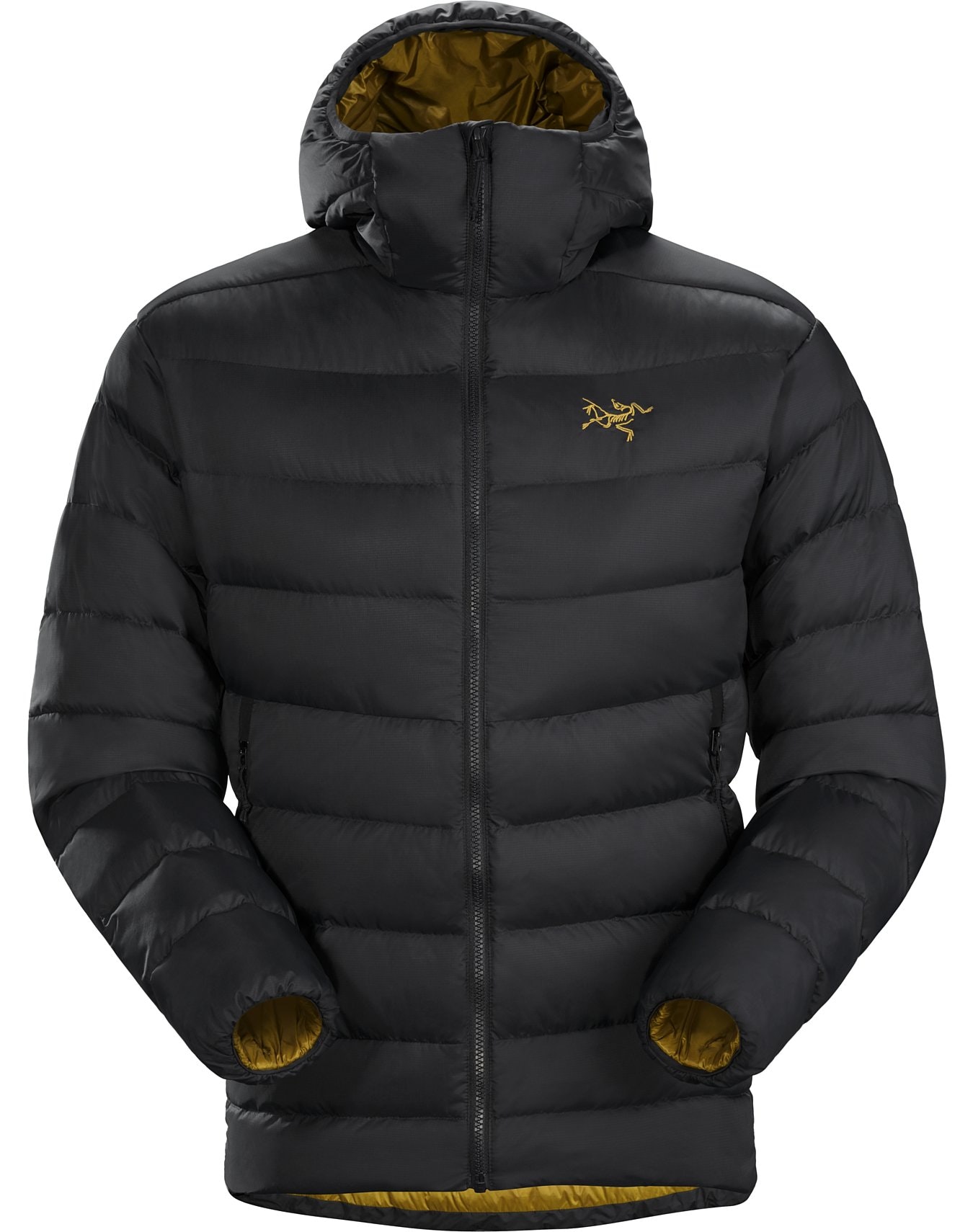 Arc'teryx Thorium AR Hoody - Daunenjacke - Herren