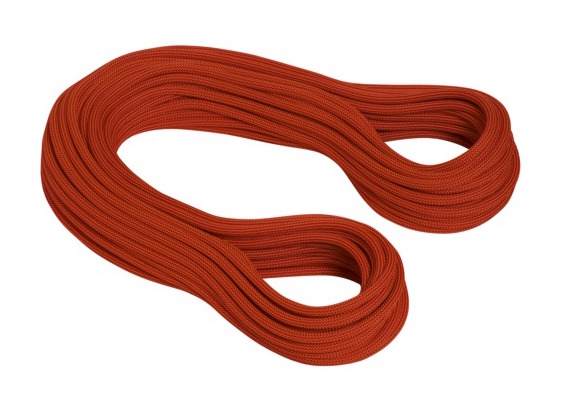 Mammut 9.2 Revelation Dry - Kletterseil