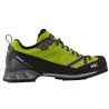 Acid Green