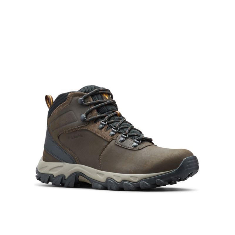 newton ridge plus 2