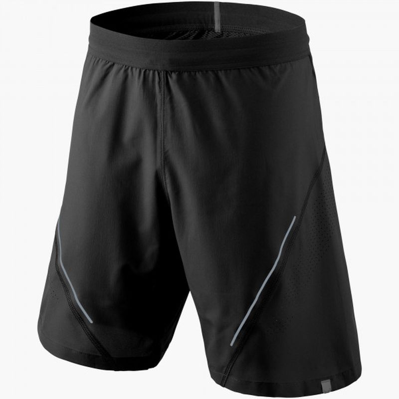 Dynafit Alpine 2 Shorts - Laufshorts - Herren
