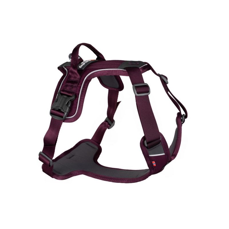 dog climbing harness